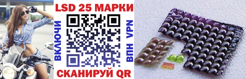 блэк спрут маркетплейс  Выборг  Наркотические марки 1,8мг 