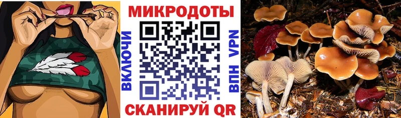 Галлюциногенные грибы Cubensis  MEGA сайт  Выборг 