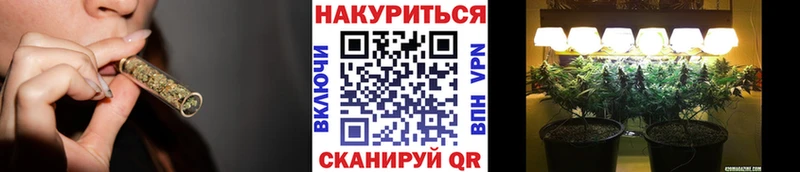 дарк нет наркотические препараты  Выборг  МАРИХУАНА сатива  omg tor 